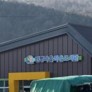 내고향마트 | 6시 내고향 면사무소앞안흥찐빵 후기 (식객 허영만의 백반기행 심순녀 안흥찐빵 실패)