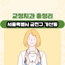 서울특별시 금천구 가산동 교정치과 총정리