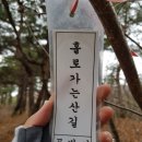 구녀성 | 한남금북정맥 5구간 이티재-보천고개-30.84km(18. 4. 1.)