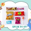 초코인터내셔널 주식회사 이미지