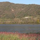 아이러브호주 이미지