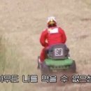 오늘의간식 이미지