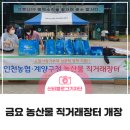 구청 남측광장 이미지