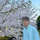 성남 분당 젠틀맥스프로가 있는 오브디 의원 남성 제모 후기(1회차) / 남자 턱수염, 콧수염 제모 기계...
