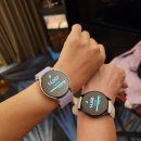[2024 마카오 macau 여행] 81세 엄마, 30도의 더위 속에서도 14000보 달성!