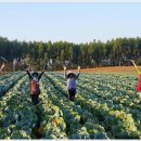 풍요농장 이미지