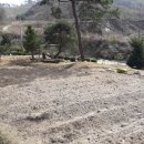 평신2로 이미지