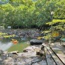 남창감나무집 이미지