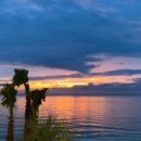 그곳애월 이미지