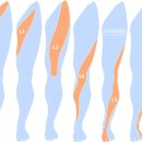 일곡한방병원 이미지