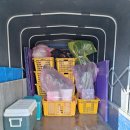 고마운 용달화물