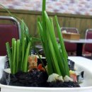 춘천중앙시장 이미지