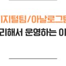 덴티랩스