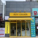 쁘띠꼬숑 이미지