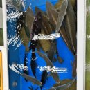 민락수변로 이미지