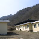 대성초등학교 이미지