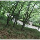 갈맷길(7코스) 이미지