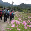 용곡약수터 | 백두대간(은티재-구봉산-희양산-이만봉-사다리재, 제20구간) 종주