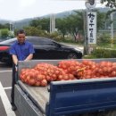 고령성주축산업협동조합 한우프라자 이미지