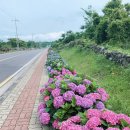 안덕면행정복지센터 이미지