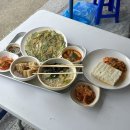 고남저수지 | 서산 고남저수지 벚꽃터널 실시간, 나만 알고 싶은 숨은 벚꽃 명소