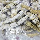 약초당한의원 이미지