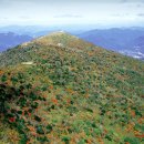 덕유대야영장 이미지