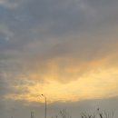 로이약국 | 양양 물치항차박 바다낚시명소 화장실 양양 애견동반여행(1) 아이오닉5 차박세팅