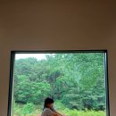 솔거유치원 | 곳 추천💯 엑스포대공원 가족여행코스 : 아이와 함께 즐긴 또봇뮤지엄·솔거미술관·자연사박물관·경주타워