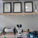 청주중앙포낙 이미지