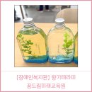 고창군 장애인복지관 | [장애인복지관] ㅣ원예ㅣ향기ㅣ아로마테라피ㅣ심리안정.정서효과ㅣ힐링치유체험프로그램ㅣ자립생활센터...