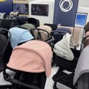 평촌온누리약국 | 내돈내산 평촌 베네피아 부가부 버터플라이2 구매후기