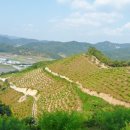 삼태리농장 이미지