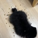 여니또의 7월 요약본, 8월 다짐 한마디