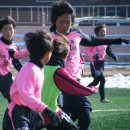 대전화정초등학교 이미지