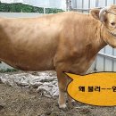 선비골농장 이미지