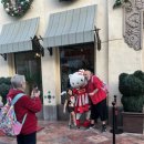 펫츠월드 이미지