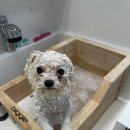 더 개편한세상 이미지