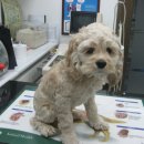 기분좋은 동물병원 이미지