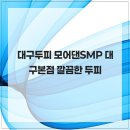 모어댄SMP 이미지