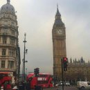 로즈민박 이미지