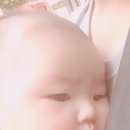 가으나