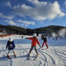 화이트 스포츠 | 웰리힐리파크 스키장 초보도 편했던 동선, 화이트스포츠 스키강습 후기