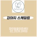 마인동물의료센터 이미지