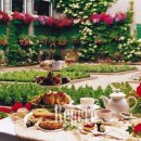 스테이서곡 이미지