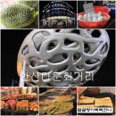 다문화길 이미지