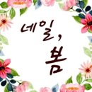 봉담네일 이미지