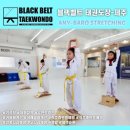 유일태권도장 이미지
