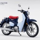 동남슈퍼 | 전 세계 1억 대의 신화, 혼다 슈퍼커브(Honda Super Cub)의 모든 것