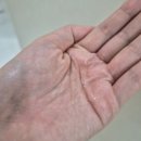 [친구돈친구산][선물후기] 아닐로 헤어 퍼퓸 에센스 오일 로지나잇 후기🫶 안 떡지고 가벼워서 좋았음